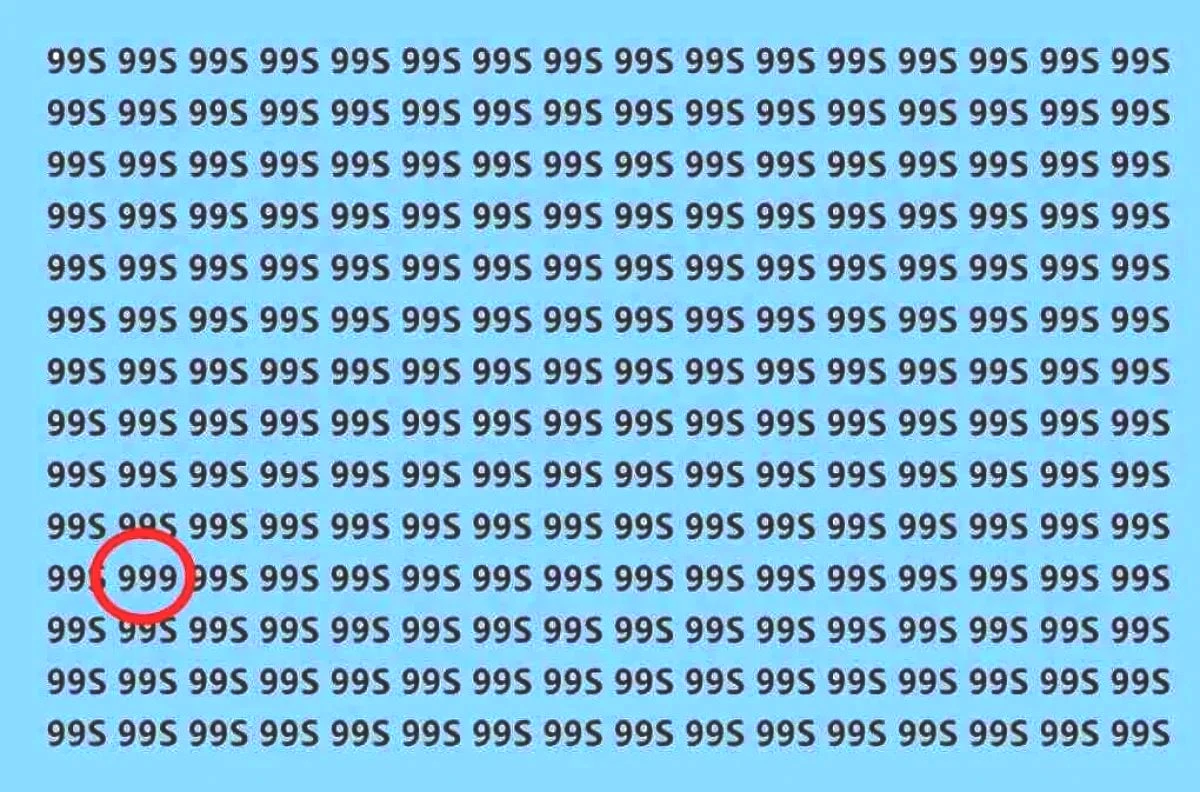 995-test-yanit.jpg