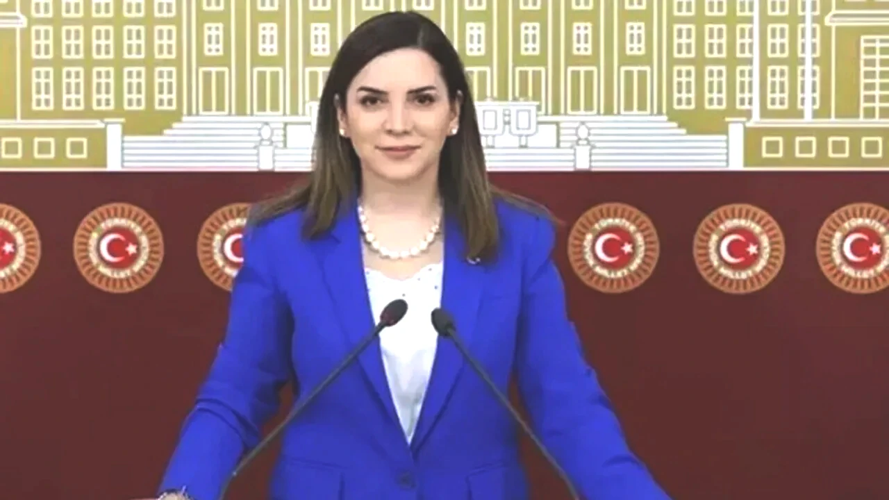 eski-mhp-milletvekili-arzu-erdemin-sahibi-oldugu-tyt-turk-flash-haber-tvyi-satin-aldi-dy7s-cover-jpg.webp