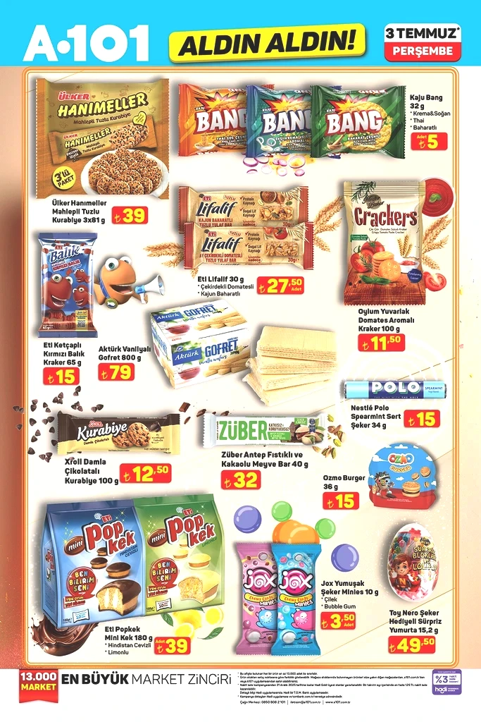 13.webp
