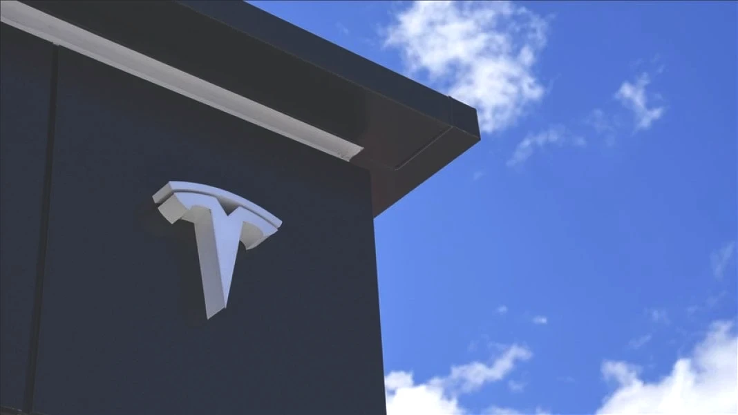 tesla-model-2025.jpg