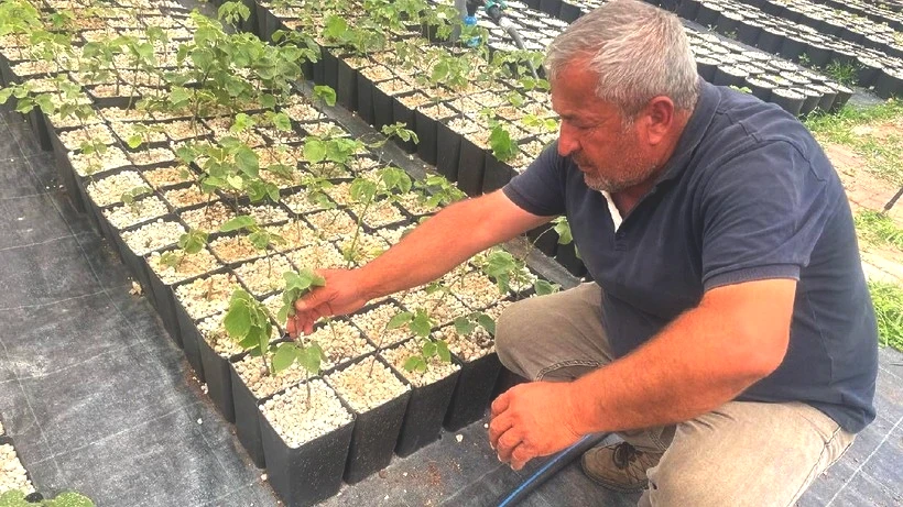 Uludağ’da Cesur Hasat: Türkiye’de Bir İlk! Hata Lüksü Yok Dediler, 700 Bin TL Yevmiye Ödediler - Resim: 3